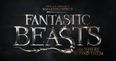 WATCH: Check out Colin Farrell, Eddie Redmayne and the stars of Fantastic Beasts at this exclusive global fan event