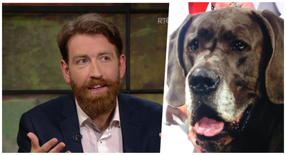 TWEETS: All the reaction to The Late Late as gigantic dogs and Colm O’Regan steal the show