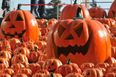 New York Times ranks Irish city as one of the top 6 places in the world to celebrate Hallowe’en
