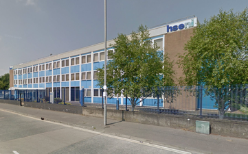 An elderly Irish woman has died after being attacked by cattle