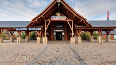 Up to 10 people taken to hospital after stairs collapse at Tayto Park
