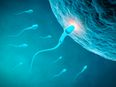Scientists have created a new male contraceptive that makes you infertile for days