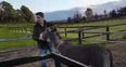 VIDEO: This man and his donkey will melt your cold, cold heart