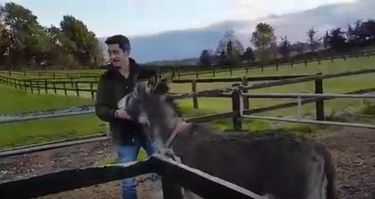 VIDEO: This man and his donkey will melt your cold, cold heart