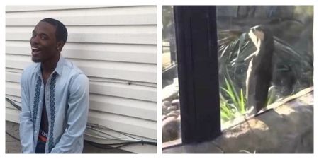 30 of the funniest Vines of all time