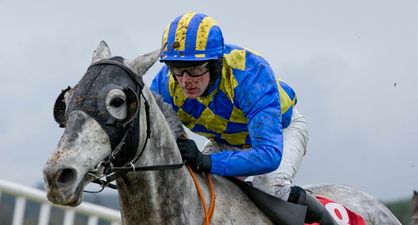 PIC: Irish jockey shares X-ray of broken leg with 9 fractures after bad fall at Galway