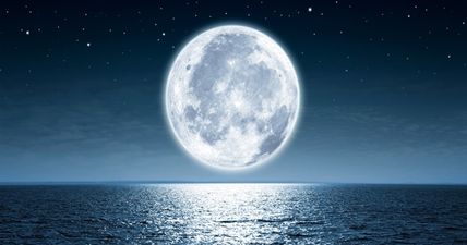 The first two space tourists to travel to the Moon and back will take off in 2018