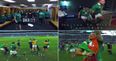 WATCH: Drink in Ireland’s historic victory over the All-Blacks with some brilliant behind the scenes footage