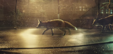 US government says it’s okay to kill wild animals with deadly poison