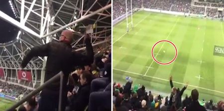 WATCH: Marvel at this paper airplane thrown from the stands in the Aviva that lands on the pitch