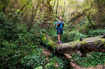 UN report to highlight urgent need for Nature rescue plan