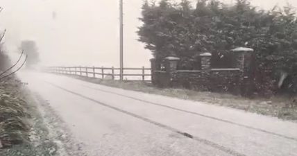 WATCH: Carlow was like a winter wonderland thanks to all the snow this morning