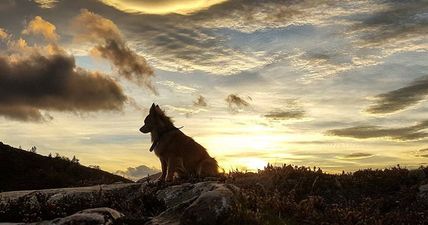 PICS: These were the best Instagram photos taken in Ireland this year