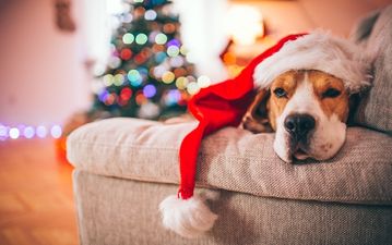 It begins… The first Christmas ad for 2017 has arrived