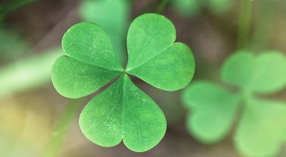 QUIZ: Can you get 15/15 in part five of our Irish general knowledge quiz?