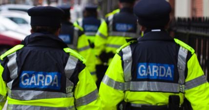 Four people arrested for public order offences in Dublin as Tony Holohan slams “open air party”