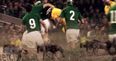 WATCH: RTÉ Sport’s Planet Earth II-inspired promo for Ireland v Australia is just fantastic