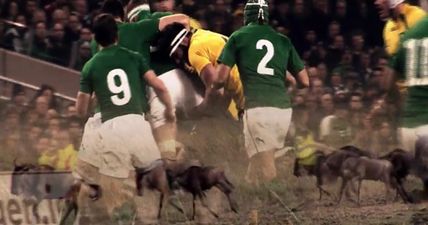 WATCH: RTÉ Sport’s Planet Earth II-inspired promo for Ireland v Australia is just fantastic