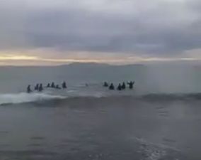 VIDEO: The moment surfers get together to rescue a stranded whale in Mayo