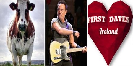 Reeling in 2016 – JOE’s biggest stories in May