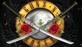 PICS: The rumours of a Guns N’ Roses Irish gig have taken a very positive turn