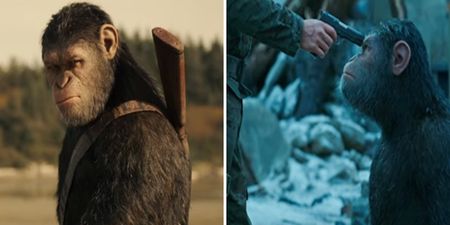 #TRAILERCHEST : War for the Planet of the Apes is here and it looks absolutely stunning