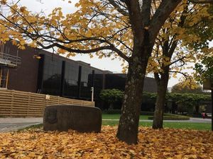 University of Limerick students alerted after ‘outbreak’ of sexually transmitted illnesses on campus