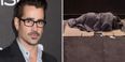 LISTEN: Colin Farrell says Ireland’s homeless crisis is “absolute insanity” before slating Ireland’s politicians