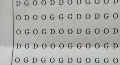 PIC: This word search only has three letters, but we guarantee it will infuriate you