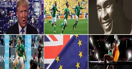 How well do you remember 2016? Take our big fat family quiz of the year