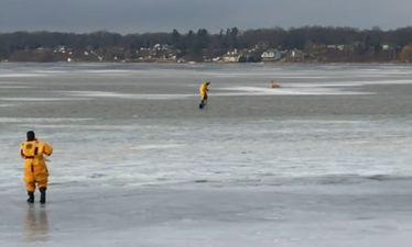 VIDEO: The moment a dog is saved after falling through a frozen lake