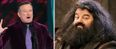 This is the surprising reason Robin Williams was rejected for the role of Hagrid in Harry Potter