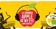 Get tickets to the final of the Le Crunch Apple of My Eye Song Contest in Whelan’s on 14 March