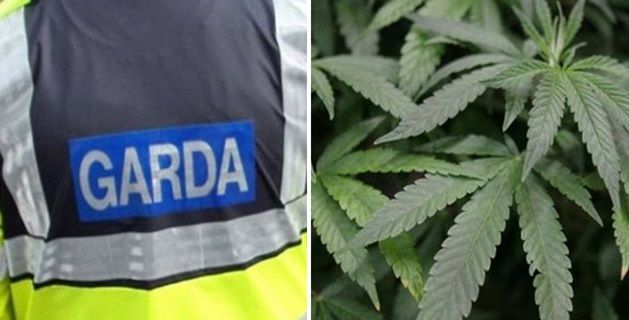 drug seizure monaghan