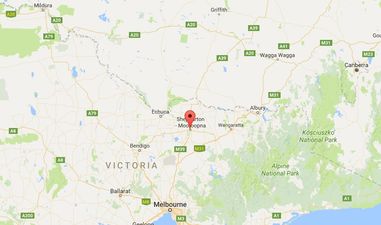 Australian company fined over €40,000 after Irish backpacker has ear torn off in horrific accident