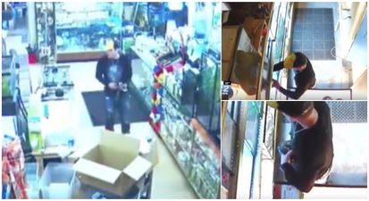 WATCH: Man steals snake from store by shoving it down his pants