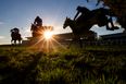 Banish the January blues with two days of epic horseracing at Leopardstown