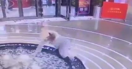 WATCH: Woman in China illustrates the dangers of using your phone while walking