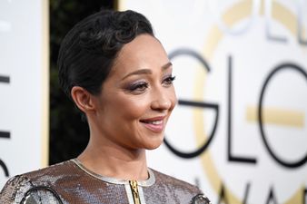 The Oscar nominations have just been announced, and we have some very good news