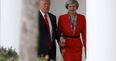 Bizarre explanation emerges for why Donald Trump and Theresa May were seen holding hands