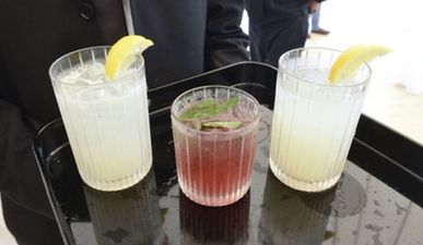 Remain calm, you can now buy Gin and Tonic ice lollies in Aldi