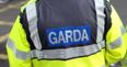 Man arrested in connection to female body parts found in Wicklow