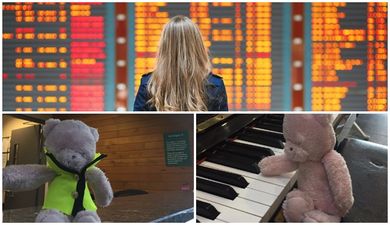 PIC: Cork Airport is still searching for the owner of Teddy, the abandoned bear