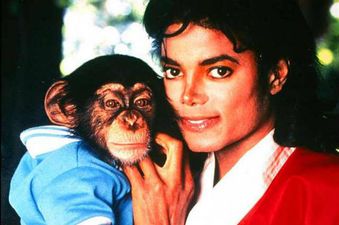 The movie about Michael Jackson’s chimp has landed a pretty big director