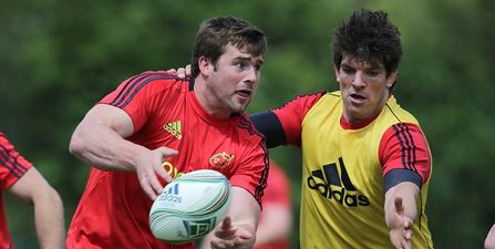 The person at Munster who had a huge impact CJ Stander’s blossoming Ireland career