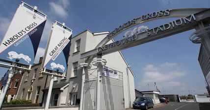 Harold’s Cross Greyhound Stadium to close with immediate effect