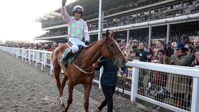 The Cheltenham Festival is introducing an alcoholic drink limit at this year’s festival