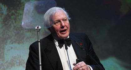 Great news: David Attenborough will be back on our screens with a sequel to Blue Planet