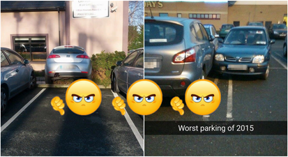 WATCH: This is the most useful and important GIF you will see today