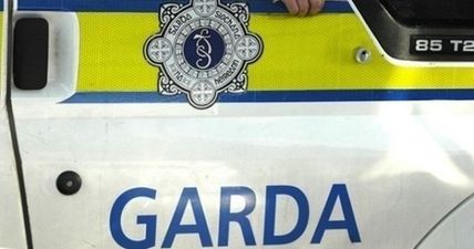 A pedestrian has died following a road collision in Meath